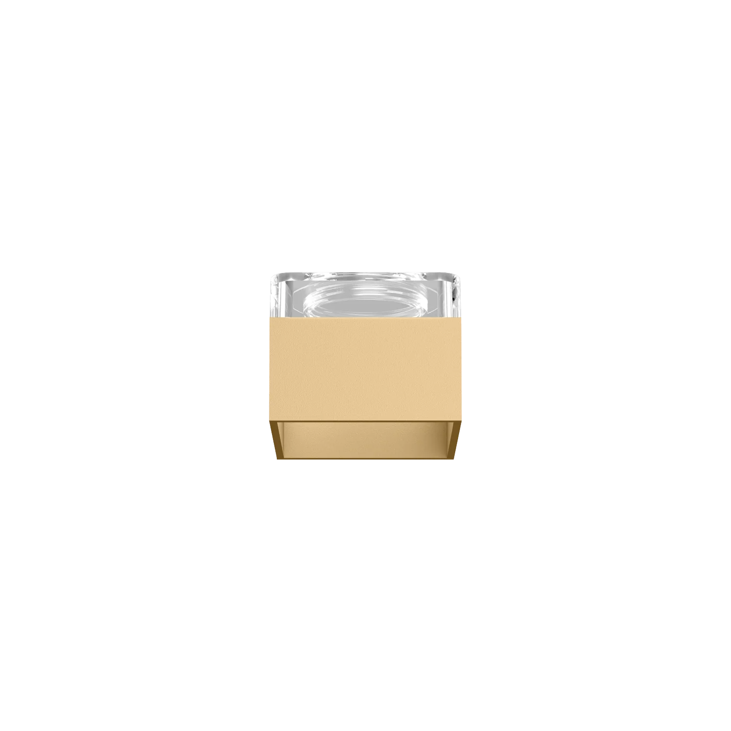 Box Inner Cover Champagner