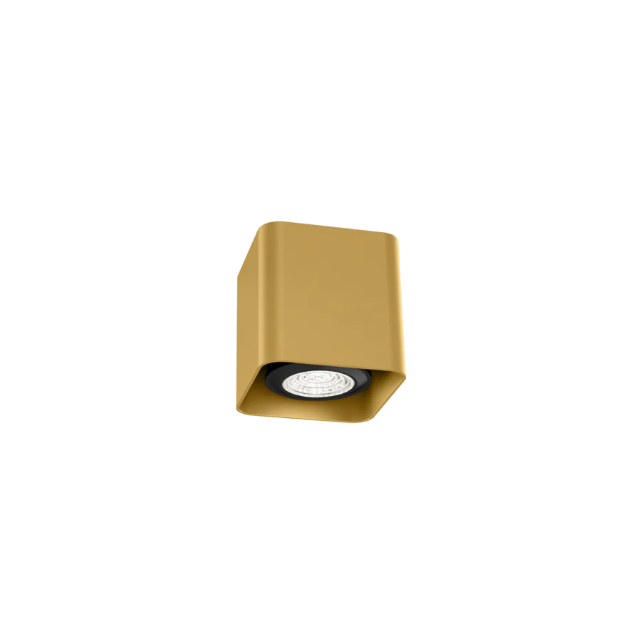 DOCUS MINI 1.0 Deckenlampe - Image 4