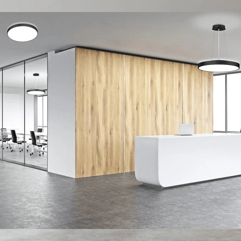 DOTLUX LED-Leuchte DISCugr Ø400mm 40W COLORselect und DALI schwarz - Image 2
