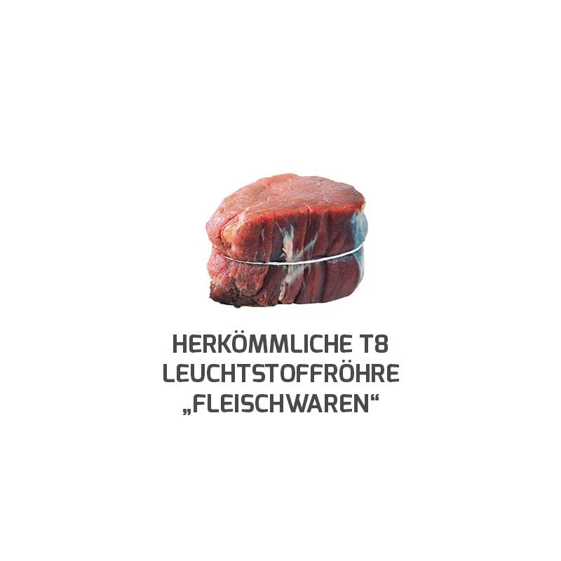 DOTLUX LED-Röhre LUMENPLUS 150cm 18W Fleischfarbe gefrostet drehbare Endkappe - Image 4