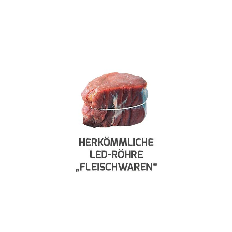 DOTLUX LED-Röhre LUMENPLUS 97cm 12W Fleischfarbe gefrostet - Image 3