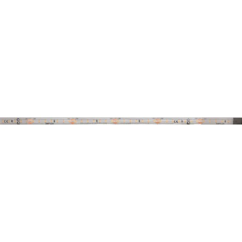 DOTLUX LED-Streifen 48W 10mm 4000K IP66 5m-Rolle inkl. 50cm Anschlusskabel beidseitig