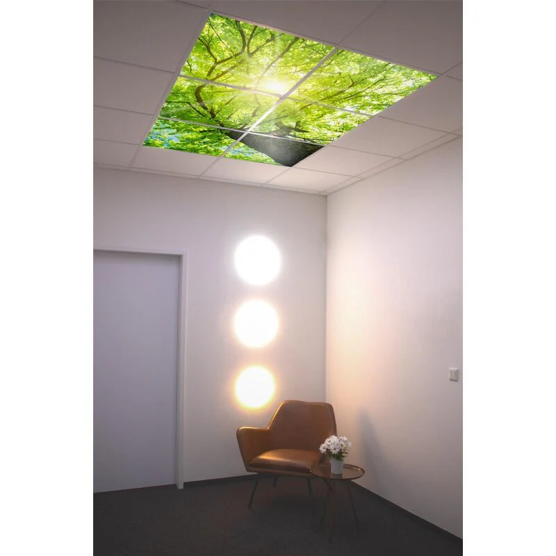 DOTLUX Motivplatte SKYLIGHT für Einbaupanels Motiv 1 Raster 1x1 für 620x620 - Image 2