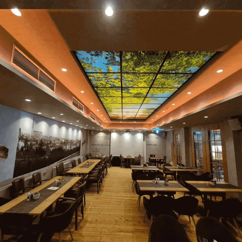 DOTLUX Motivplatte SKYLIGHT für Einbaupanels Motiv 1 Raster 1x1 für 620x620 - Image 3