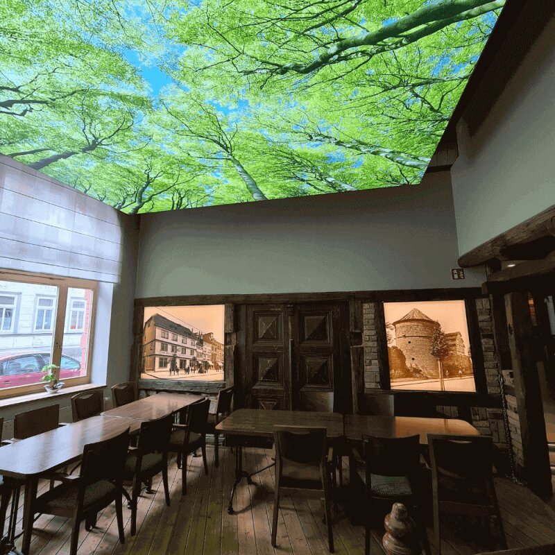 DOTLUX Motivplatte SKYLIGHT für Einbaupanels Motiv 1 Raster 1x1 für 620x620 - Image 4