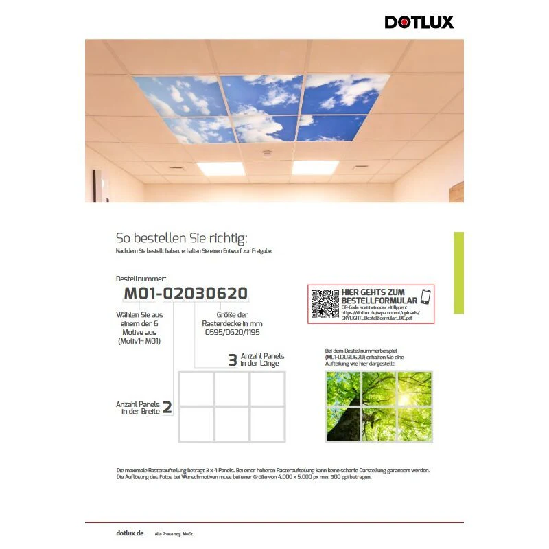 DOTLUX Motivplatte SKYLIGHT für Einbaupanels Motiv 1 Raster 1x1 für 620x620 - Image 5