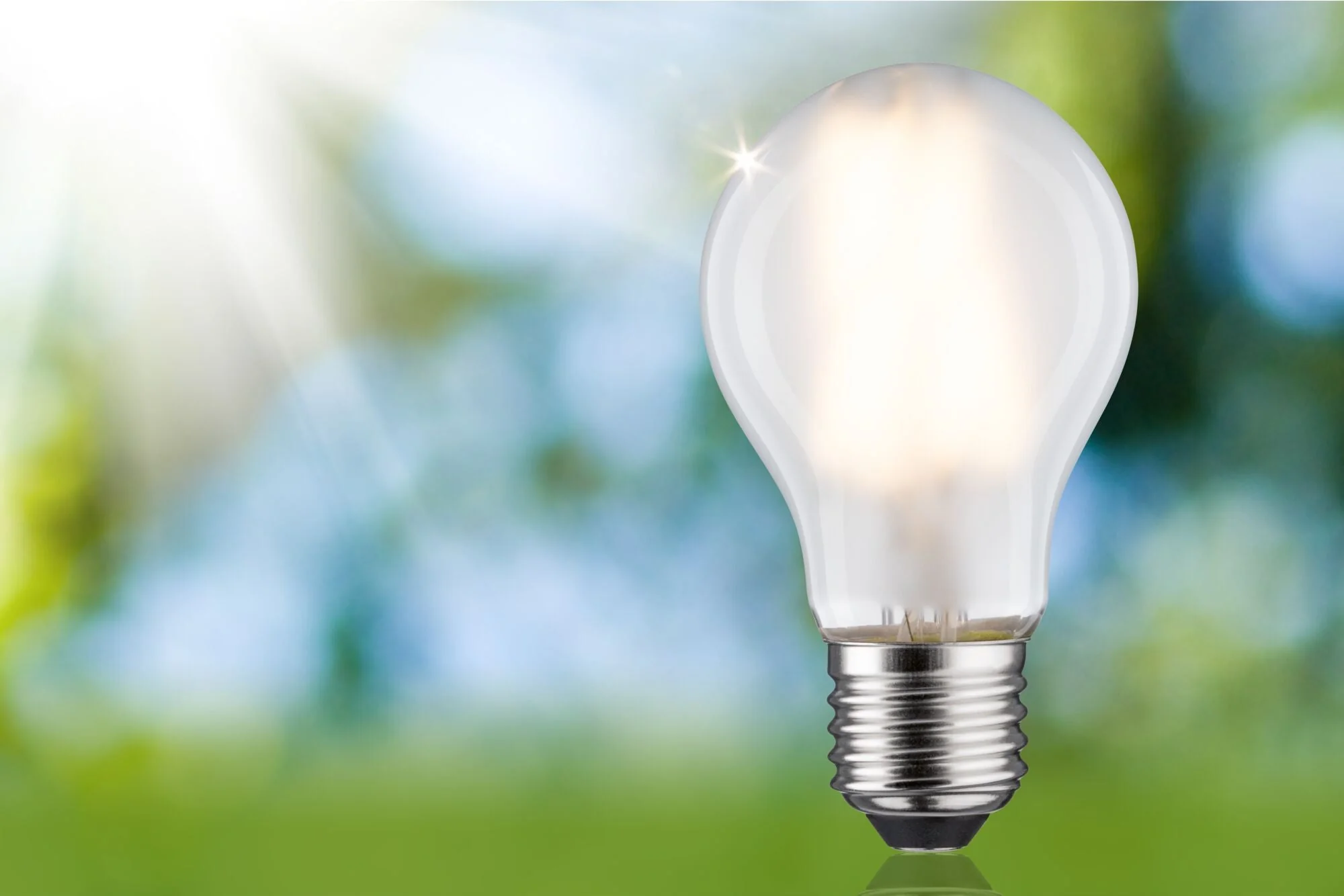 Eco-Line LED Birne  1er-Set 1055lm 5W 3000K Matt - Image 3