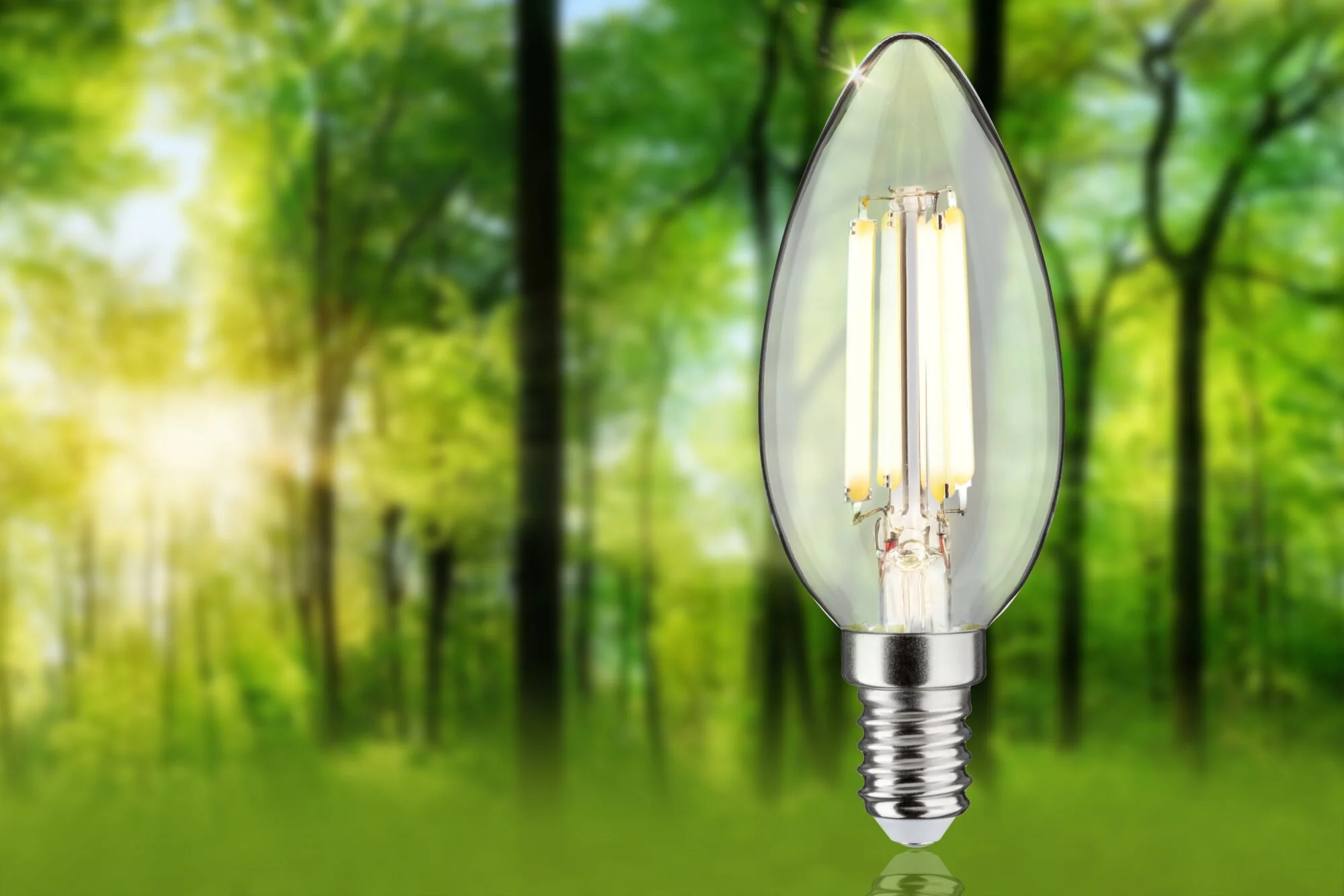 Eco-Line LED Kerze 1er-Set 98mm 525lm 2,5W 3000K Klar - Image 2