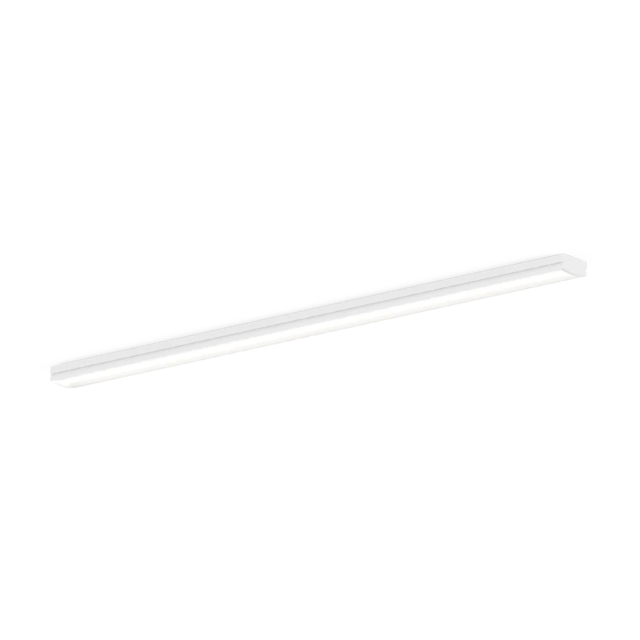 ILANE 1.0 Profile