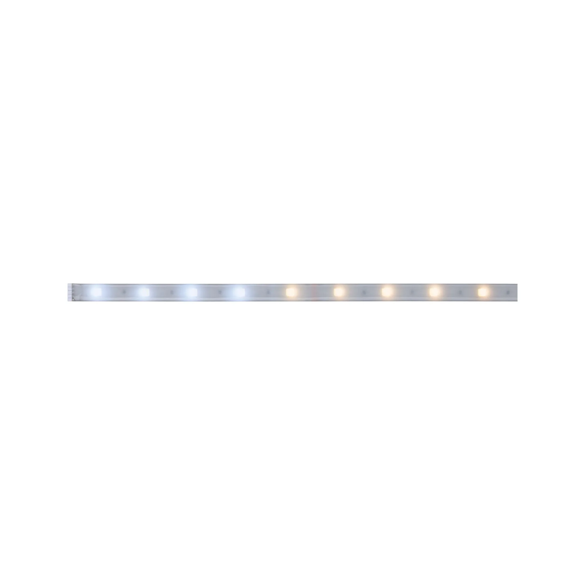 MaxLED 250 Tunable White Einzelstripe 1m beschichtet IP44 4W 230lm/m Tunable White