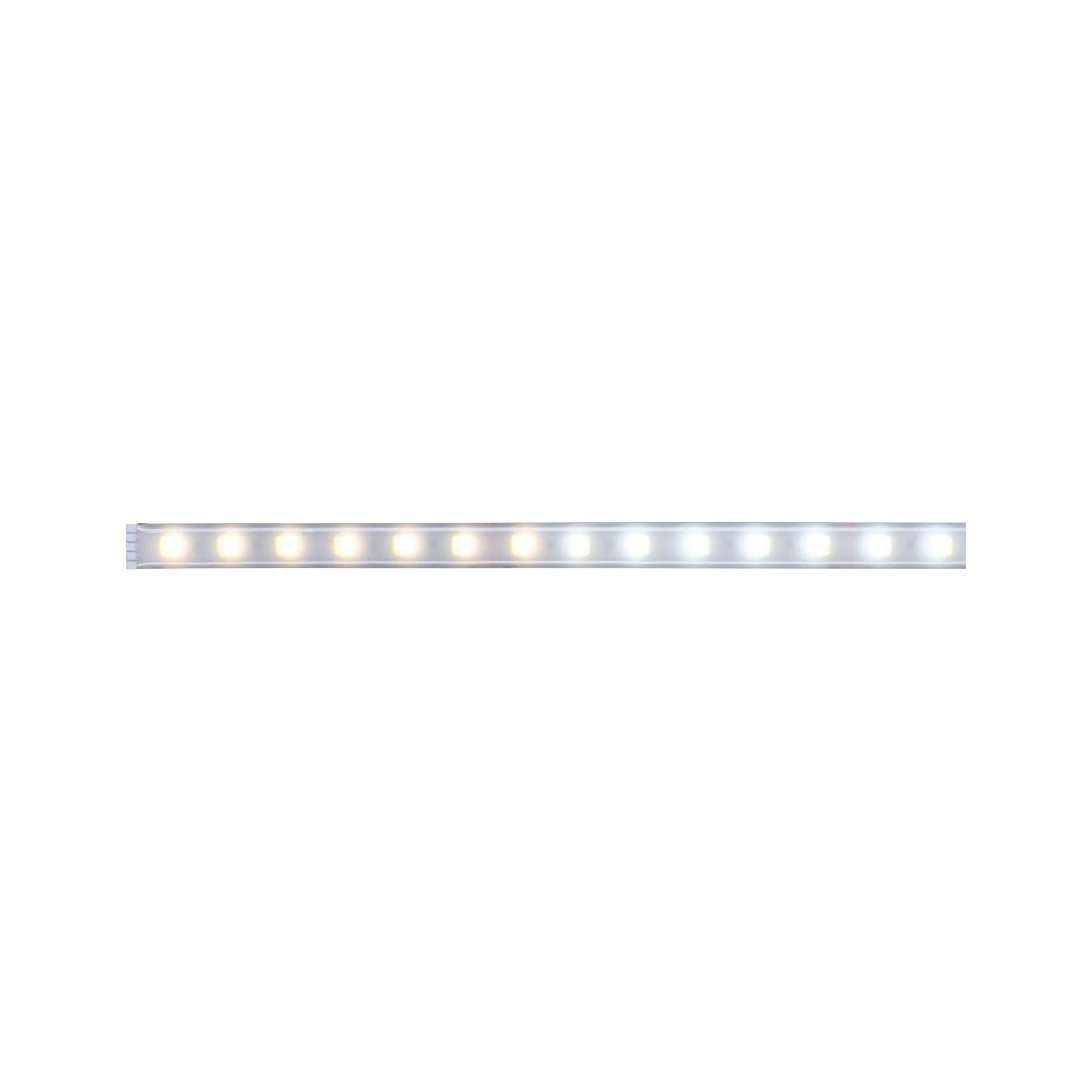 MaxLED 500 Tunable White Einzelstripe 1m beschichtet IP44 7W 470lm/m Tunable White - Image 2