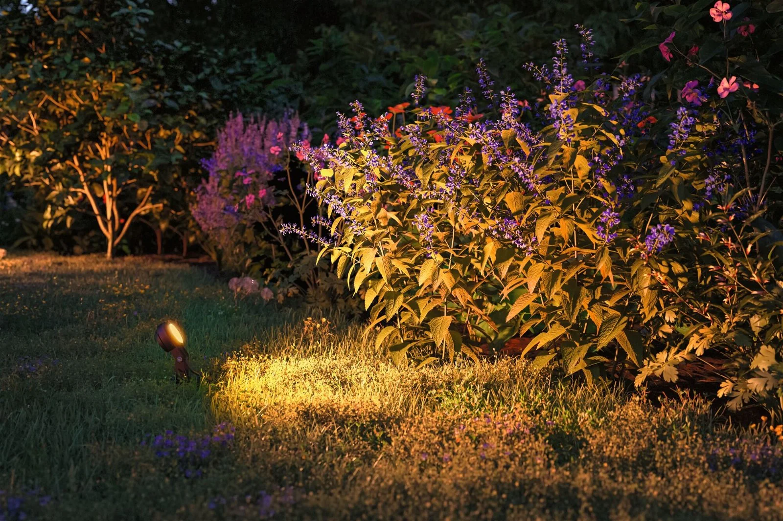 Plug & Shine LED Gartenstrahler Sting Basisset insektenfreundlich - Image 3