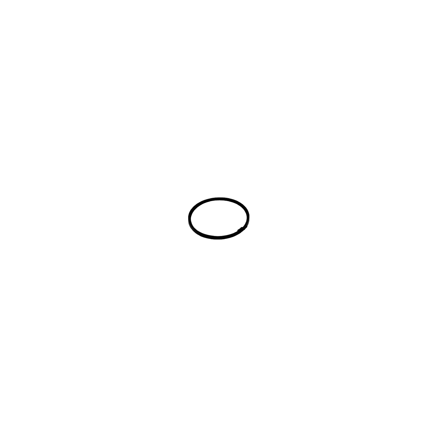 Spring Clip - Image 4