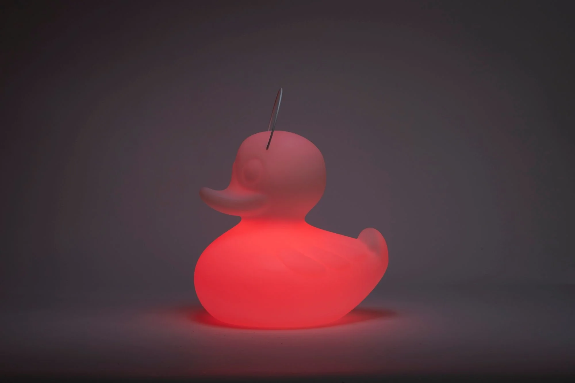 The DUCK-DUCK Lamp XL 53cm - Image 5